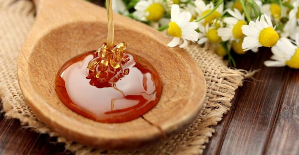 تصویر 1 از خرید عسل خام ارگانیک + قیمت فروش استثنایی